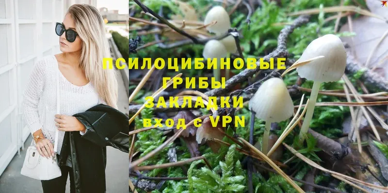 OMG ССЫЛКА  Анапа  Псилоцибиновые грибы Psilocybe 